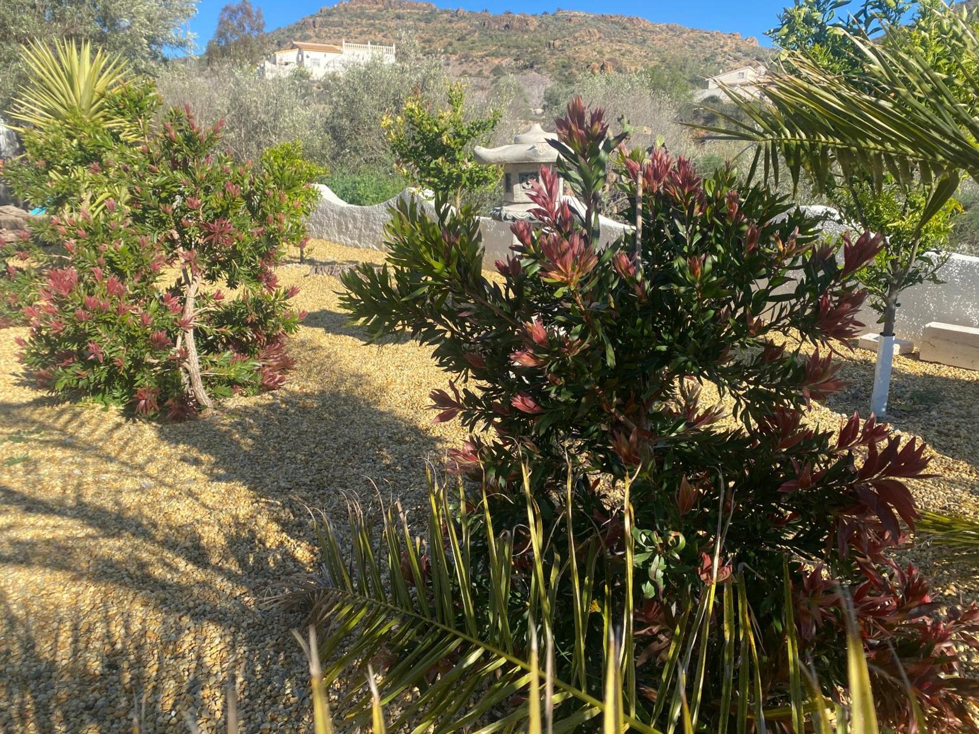 Cortijo Los Corazones Cantoria Екстер'єр фото